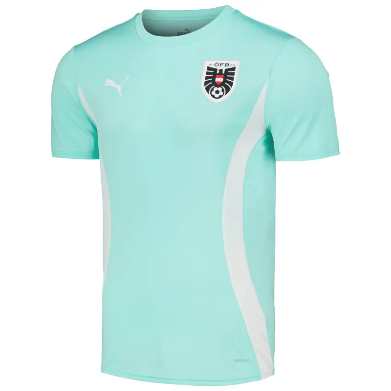US Football Jerseys Austria National Team Puma 2023/24 Pre-Match Jersey – Mint– Official NFL Jerseys & Sportswear