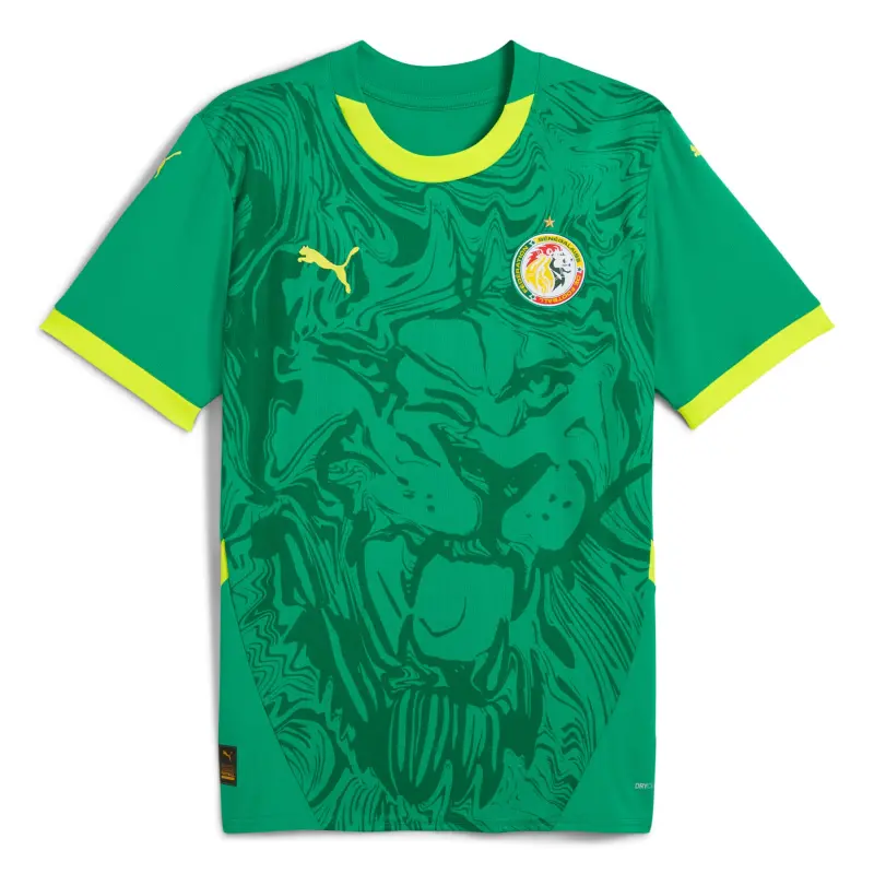 US Football Jerseys Senegal National Team Puma 2025 Away Replica Jersey – Green– Official NFL Jerseys & Sportswear