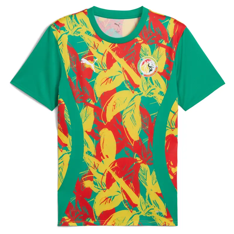 US Football Jerseys Senegal National Team Puma 2025 Pre-Match Jersey – Green– Official NFL Jerseys & Sportswear